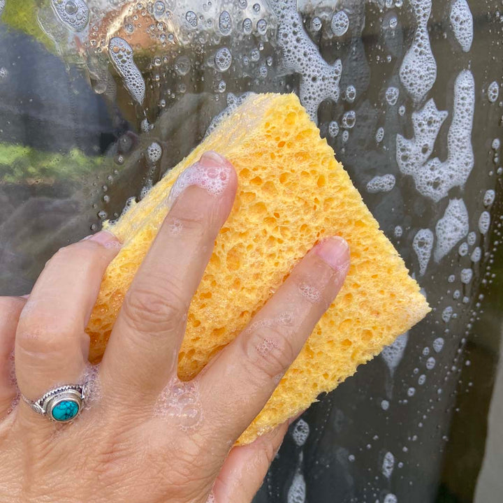 Cellulose Household Sponge