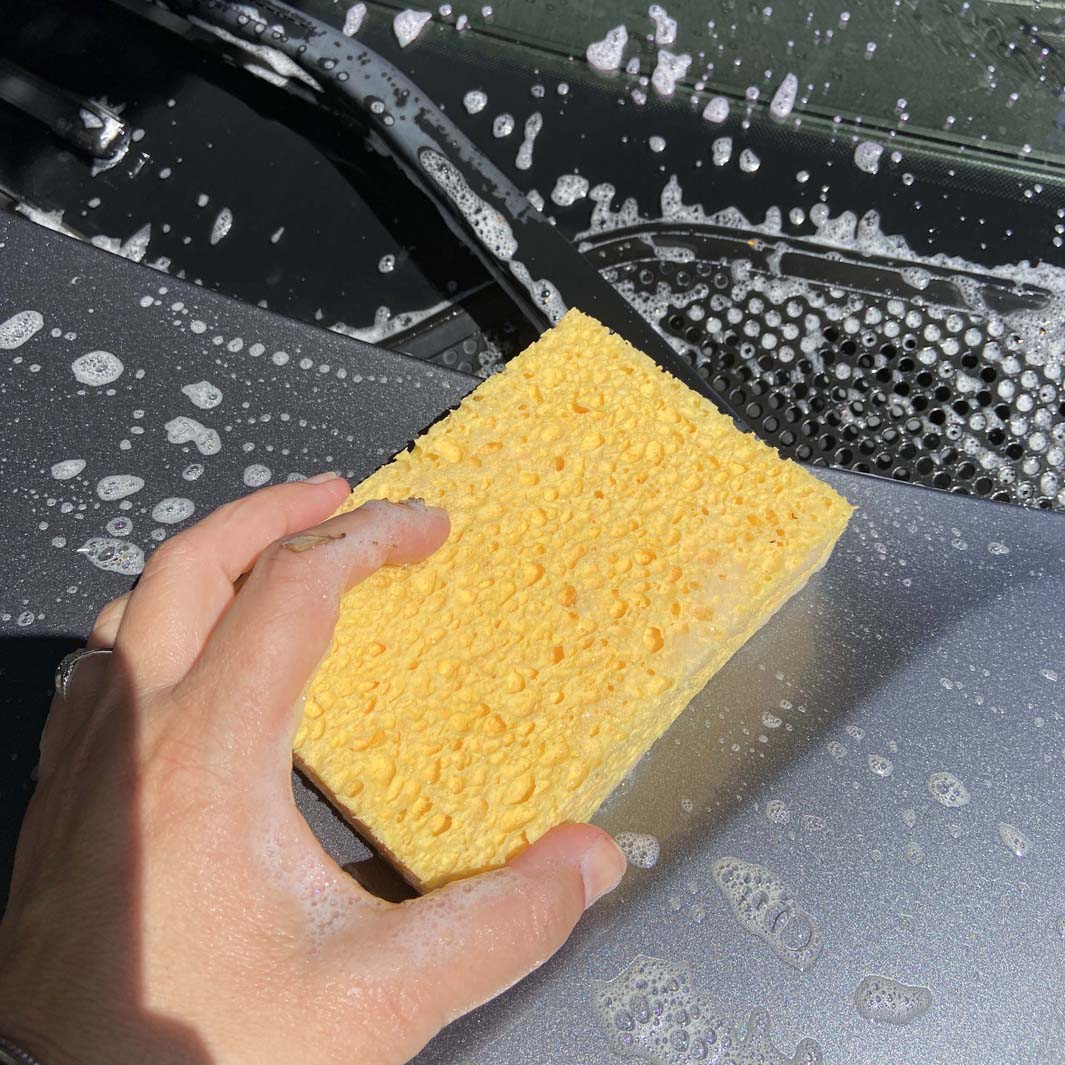 Cellulose Household Sponge