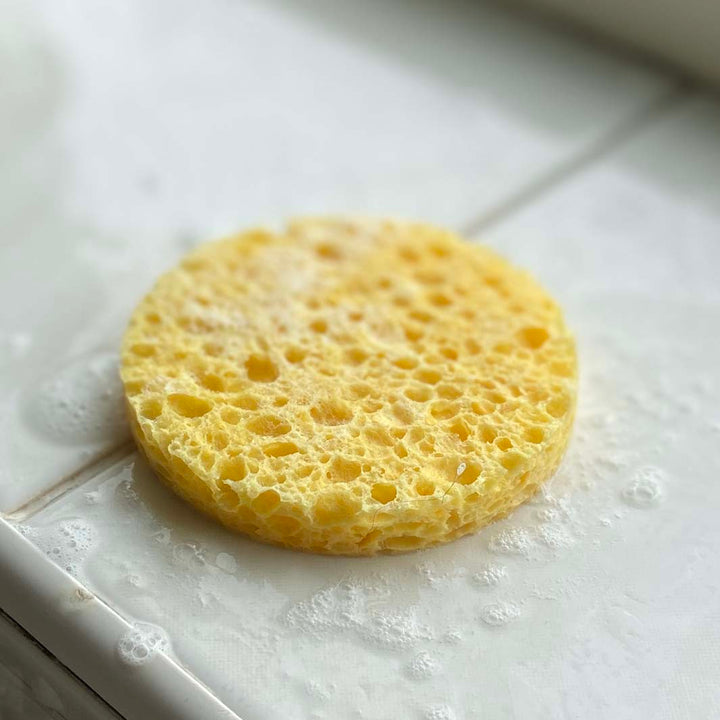 Cellulose Facial Sponge