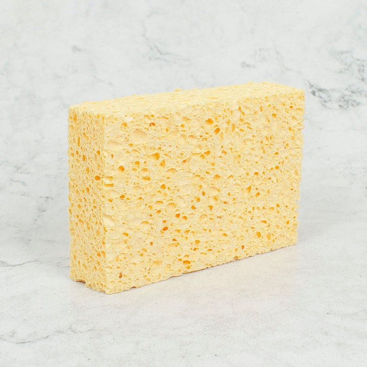 Cellulose Sponges - Unpackaged - Green Tulip