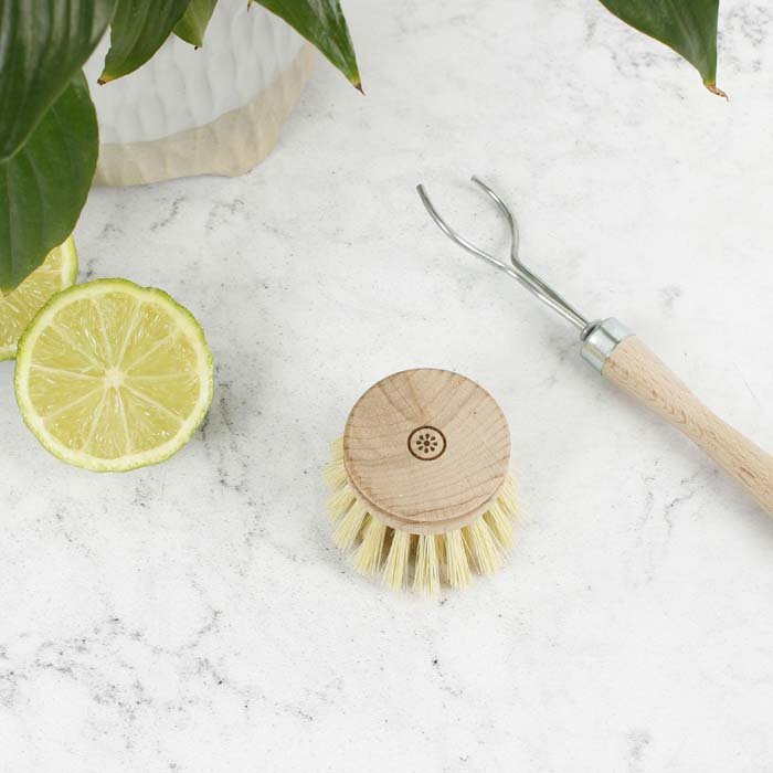 Dish Brush Head - Plant Based Bristles - Green Tulip