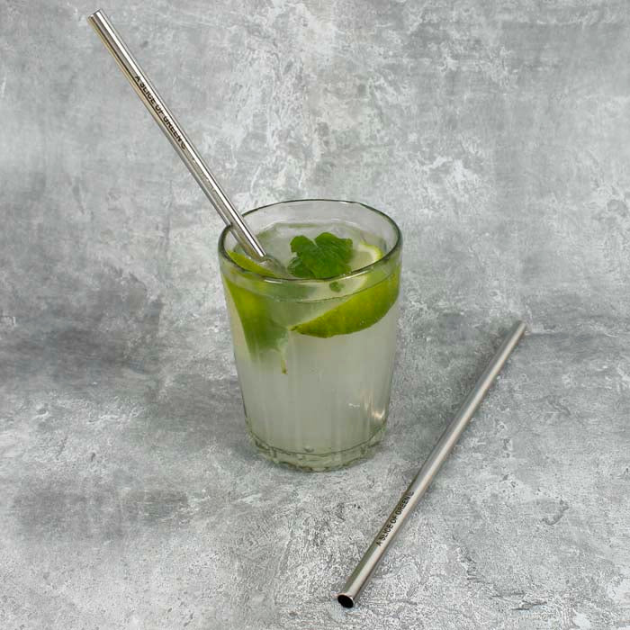 Stainless Steel Straw - Green Tulip