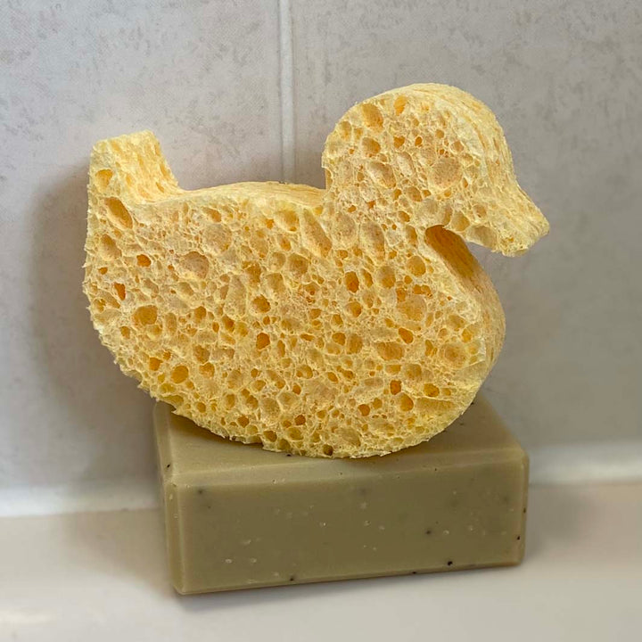 Cellulose Duck Sponge