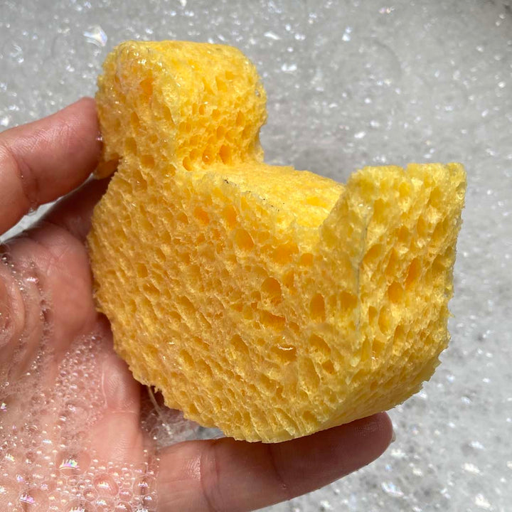 Cellulose Duck Sponge