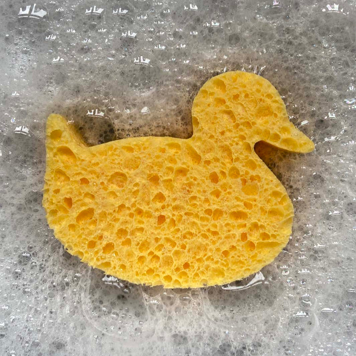 Cellulose Duck Sponge